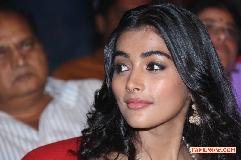 Pooja Hegde 7105