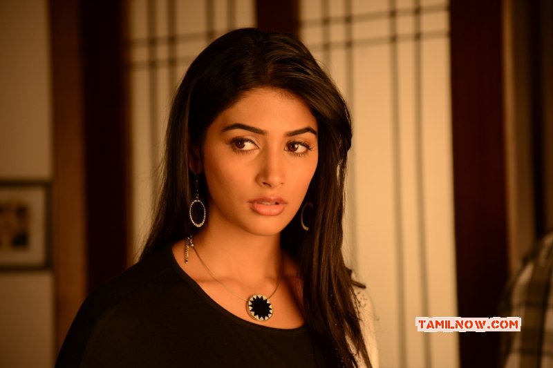 Pooja Hegde Cinema Actress 2014 Image 9605