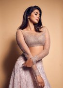 Pooja Hegde Film Actress Galleries 8266