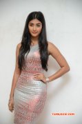 Pooja Hegde Film Actress Recent Stills 6277