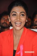 Pooja Hegde Indian Actress Oct 2014 Galleries 730