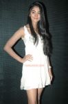 Pooja Hegde Photos 2234