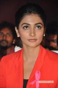 Pooja Hegde Recent Images 8795