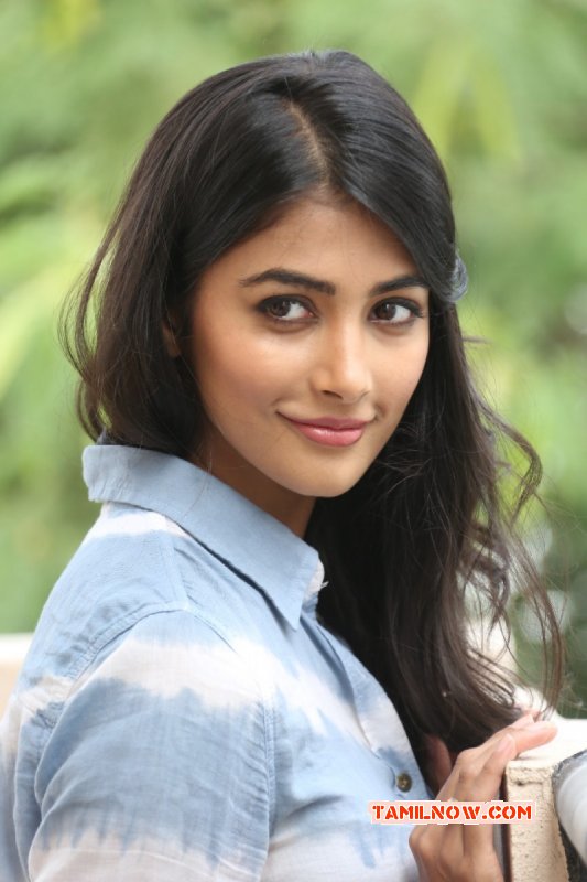 Pooja Hegde Tamil Actress Galleries 9604