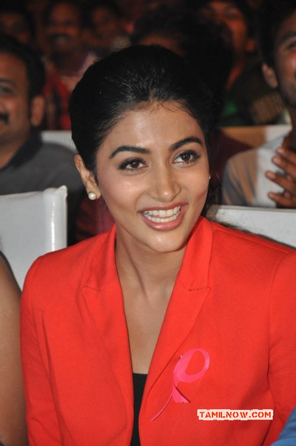 Pooja Hegde Tamil Heroine New Pic 3849