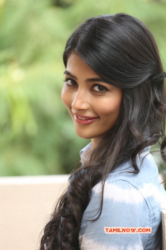 Pooja Hegde Tamil Movie Actress 2014 Galleries 8840