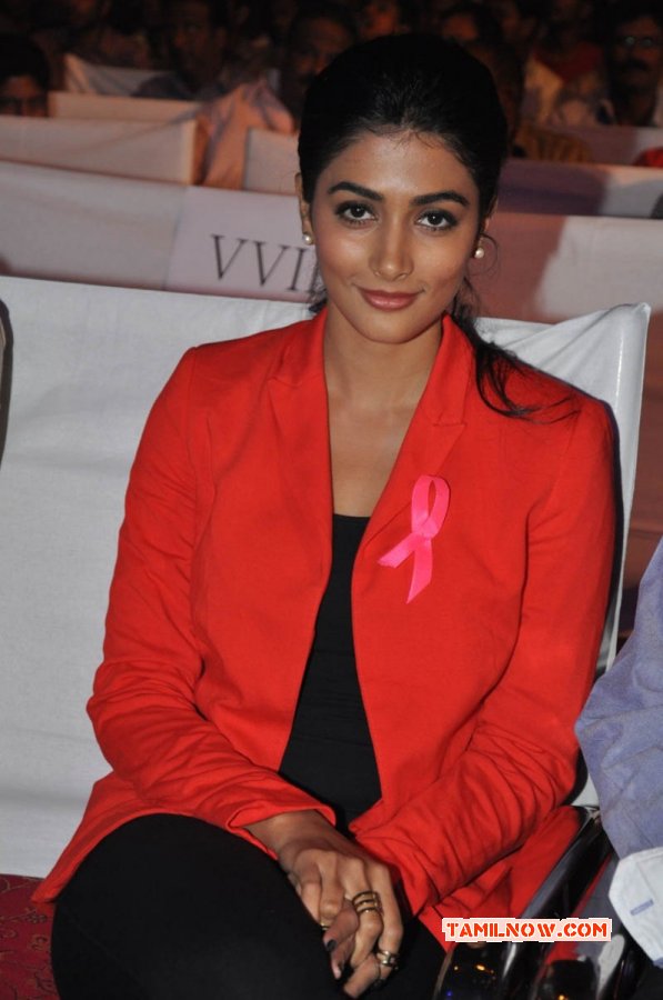 Pooja Hegde Tamil Movie Actress Latest Images 8696