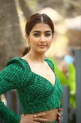 Recent Photo Pooja Hegde Tamil Movie Actress 7892