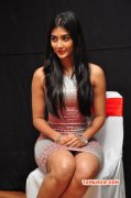 Recent Pics Tamil Actress Pooja Hegde 2858