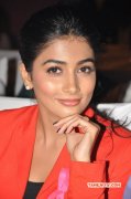 Recent Picture Pooja Hegde Tamil Movie Actress 7968