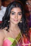 Tamil Actress Pooja Hegde 6413