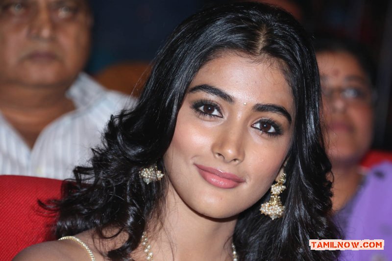 Tamil Actress Pooja Hegde Photos 2809