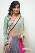 Tamil Movie Actress Pooja Hegde Picture 606