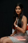 Tamil Movie Actress Pooja Hegde Recent Picture 2357