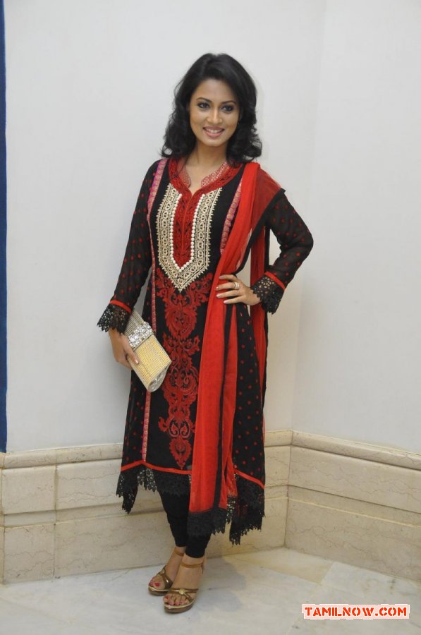 Tamil Actress Pooja Umashankar Photos 577
