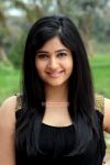 Poonam Bajwa 1428
