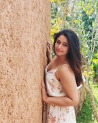 Poonam Bajwa Cinema Actress Recent Still 5373