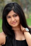 Tamil Actress Poonam Bajwa 3338