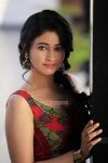 Tamil Actress Poonam Bajwa 7365