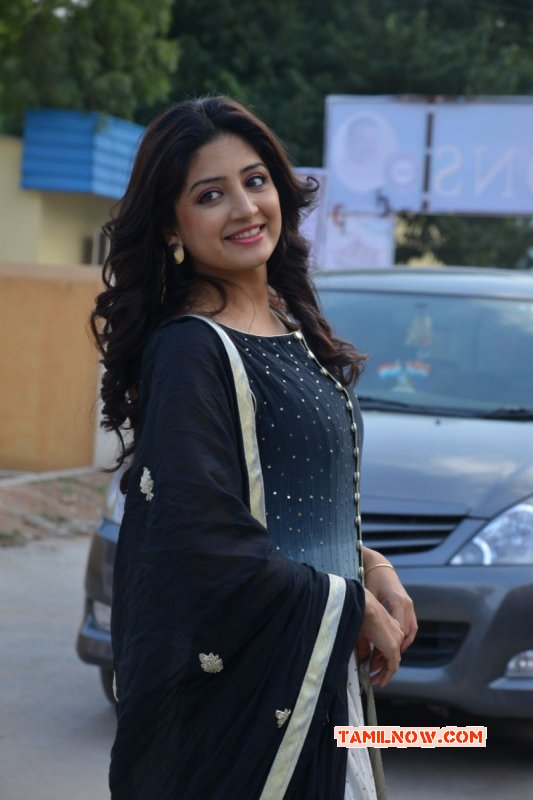 Latest Images South Actress Poonam Kaur 2354