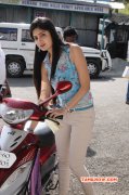 Recent Album Poonam Kaur Tamil Heroine 6881