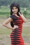 Tamil Actress Poonam Kaur 5153
