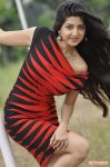 Tamil Actress Poonam Kaur 6039