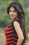 Tamil Actress Poonam Kaur 6206