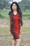 Tamil Actress Poonam Kaur 9144