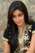 Poorna Indian Actress Oct 2015 Pictures 5536