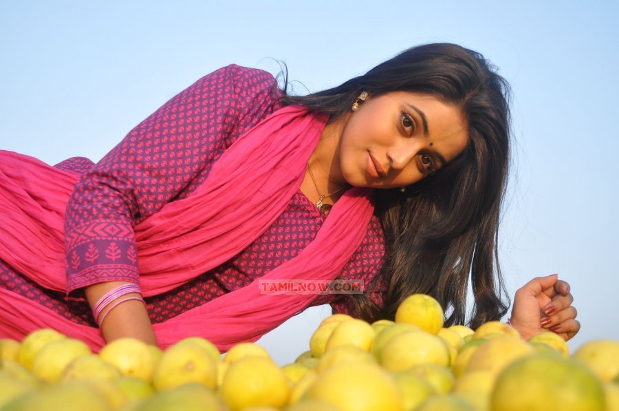 Tamil Actress Poorna 5093