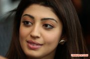 Actress Pranitha 2732