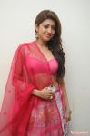 Actress Pranitha 9954