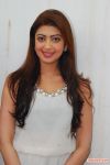 Actress Pranitha Photos 6522