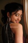 Pranitha 2941