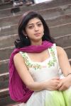 Pranitha 304