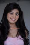 Pranitha 3416