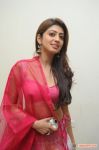 Pranitha 5997