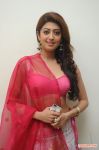 Pranitha 6830