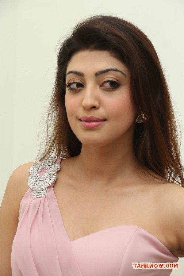 Pranitha 8781