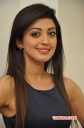 Pranitha Aug 2015 Pics 4237