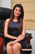 Pranitha Indian Actress Album 1097