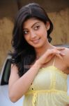 Pranitha Photos 4987