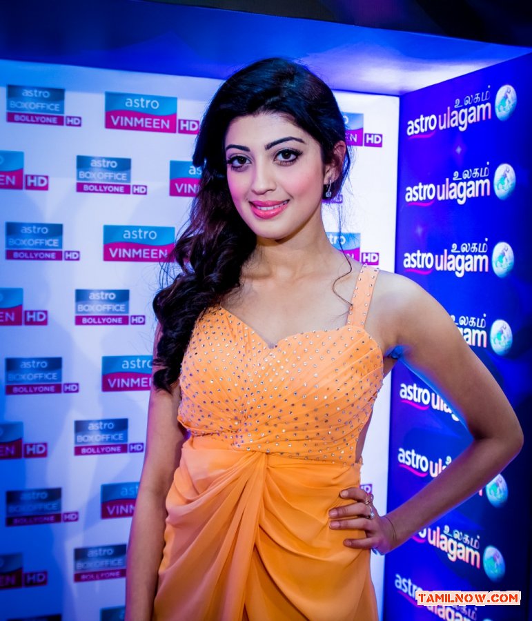 Pranitha Stills 2194