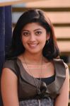 Pranitha Stills 7730