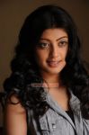 Pranitha Stills 9742