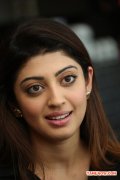 Tamil Actress Pranitha 3984