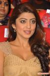 Tamil Actress Pranitha 4415