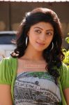 Tamil Actress Pranitha 5631