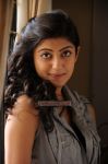 Tamil Actress Pranitha 5958